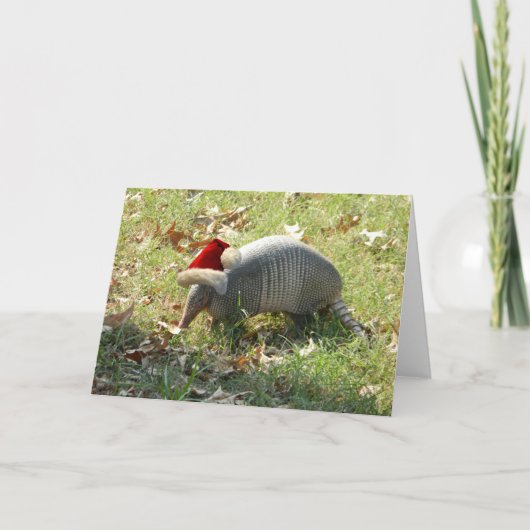 Armadillo-kerstkaart Feestdagen Kaart (Voorkant)