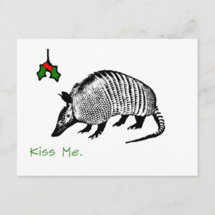 Armadillo Kiss me Briefkaart
