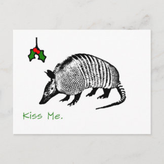 Armadillo Kiss me Briefkaart
