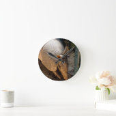 Armadillo-klok Ronde Klok (Huis)