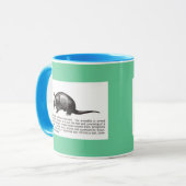 armadillo mok (Voorkant links)