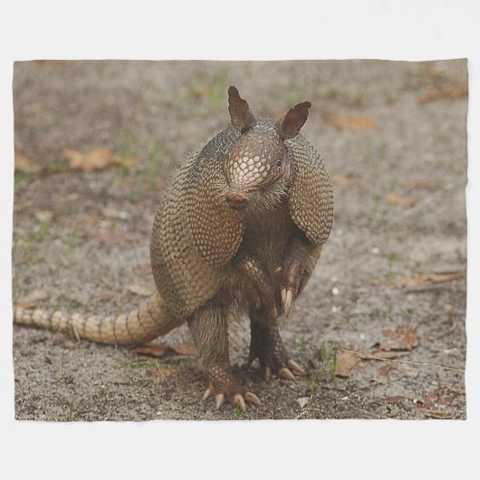 Armadillo op grote rugzak fleece deken (Voorkant (Horizontaal))