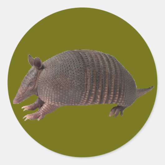 Armadillo plain ronde sticker (Voorkant)