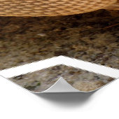 Armadillo Poster afdrukken (Hoek)