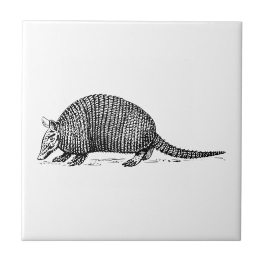 Armadillo Tegeltje (Voorkant)