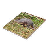Armadillo Tegeltje (Zijkant)