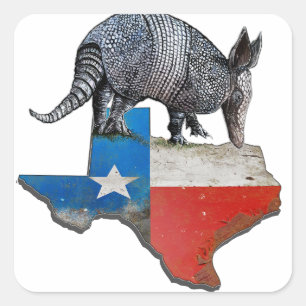 Armadillo Texas State Flag Kaart Vierkante Sticker