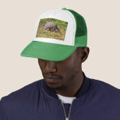 Armadillo Trucker Pet (In situ)