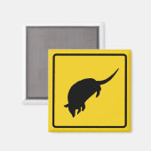 Armadillo Waarschuwingsmagneet Magneet (Voorkant / Achterkant)