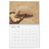 Armadillos Kalender (Feb 2026)