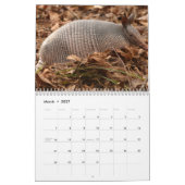 Armadillos Kalender (Mar 2027)