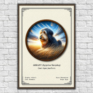 Armant (Egyptische Herdershond) Zoölogie Serie Poster