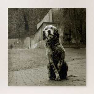 Arme hond die wacht legpuzzel