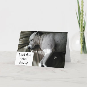 ARME HOND HAD EEN NACHTMERRIE "JE BENT 30 GEWORDEN KAART