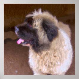 Armeens Gampr - Dog Portrait Poster