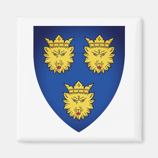 Armoiries de Dalmatie, Croatie Magnet (Devant)