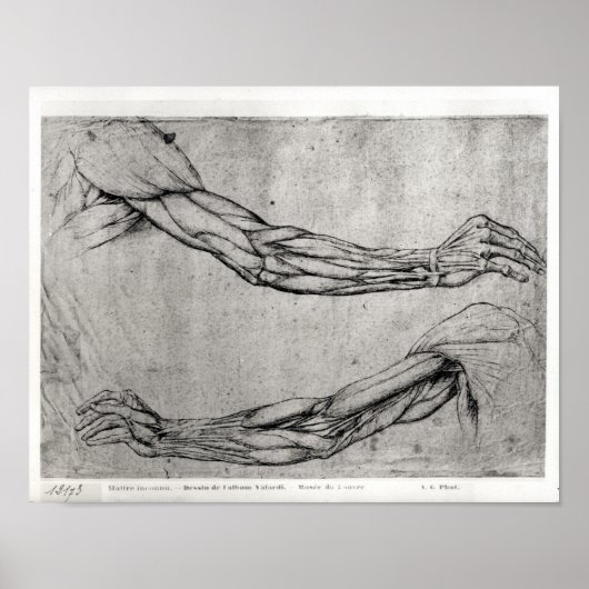 Arms onderzoek poster (Voorkant)