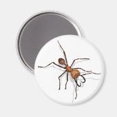 Army Ant Magnet Magneet (Voorkant / Achterkant)