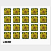 Arnica chamissonis vierkante sticker (Vel)