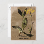  Arnica-ventilator Briefkaart (Voorkant / Achterkant)