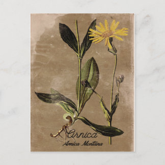  Arnica-ventilator Briefkaart