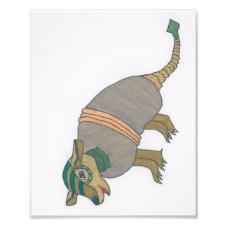 Arnold de Armadillo print Foto Afdruk