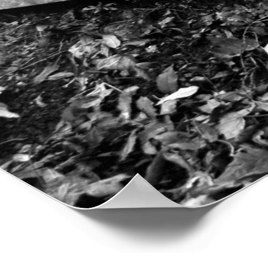 ArnosVale4 Poster (Hoek)