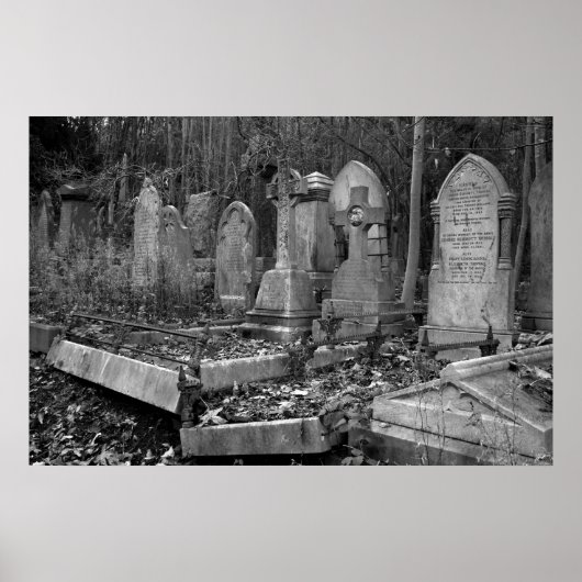 ArnosVale4 Poster (Voorkant)