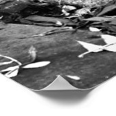 ArnosVale7 Poster (Hoek)