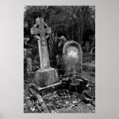 ArnosVale7 Poster (Voorkant)