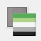 Aromantic Pride Flag Magneet (Voorkant / Achterkant)