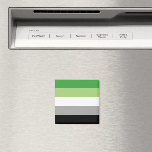 Aromantic Pride Flag Magneet (Insitu (Vaatwasser))