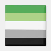 Aromantic Pride Flag Magneet (Voorkant)