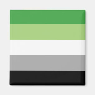 Aromantic Pride Flag Magneet