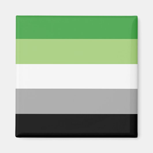 Aromantic Pride Flag Magneet (Voorkant)
