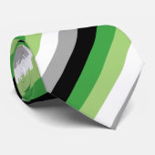 Aromantic Pride Flag Stripes Stropdas (Opgerold)