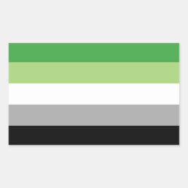 Aromantische Pride Rechthoek Sticker