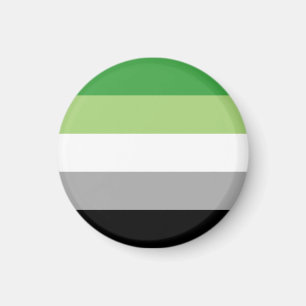 Aromantische Pride Strepen Magneet