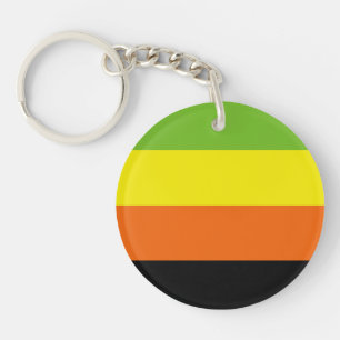 Aromantische Pride-vlag Sleutelhanger