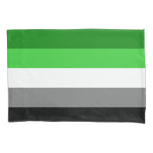Aromantische vlag Pillowcase