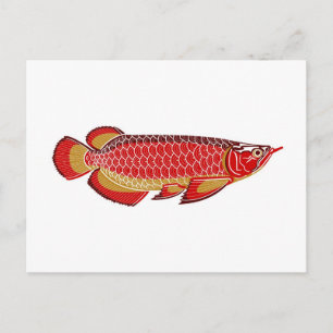 arowana briefkaart