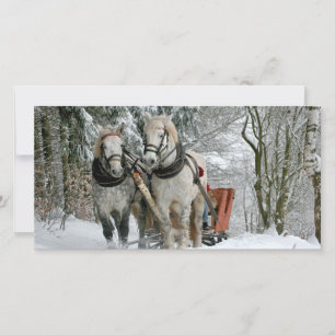 Arrenslee in Winter Wonderland