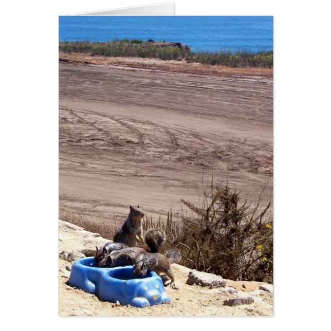 Arrêt de repos - Carte (Devant)