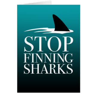 ARRÊTER LA RECHERCHE DES REQUINS