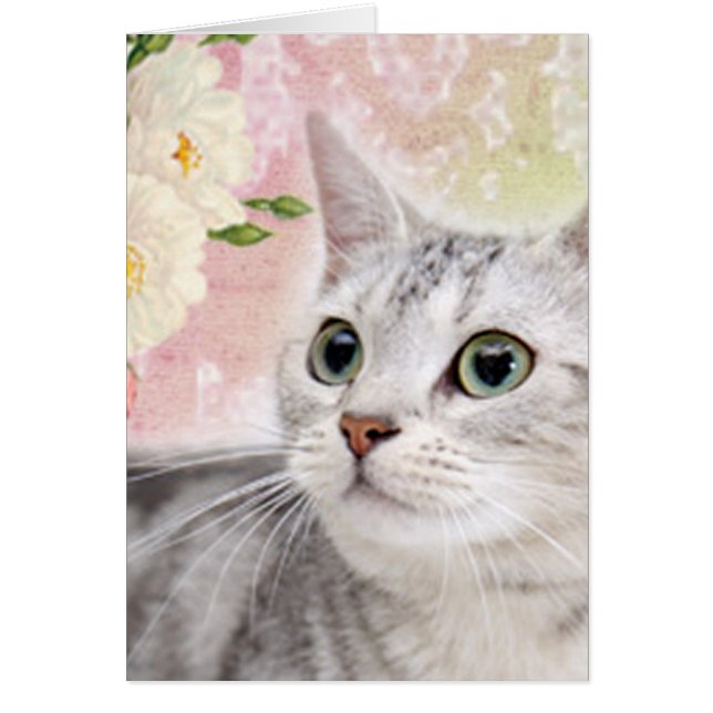 Arrêtez De Sentir Les Roses (Devant)