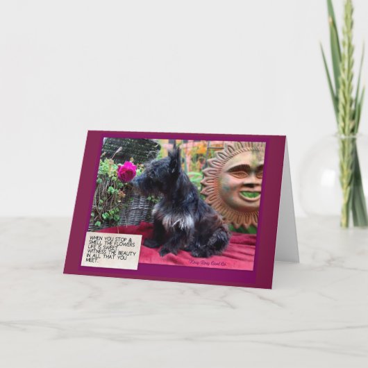 Arrêtez et sentez la carte Fleurs (Devant)