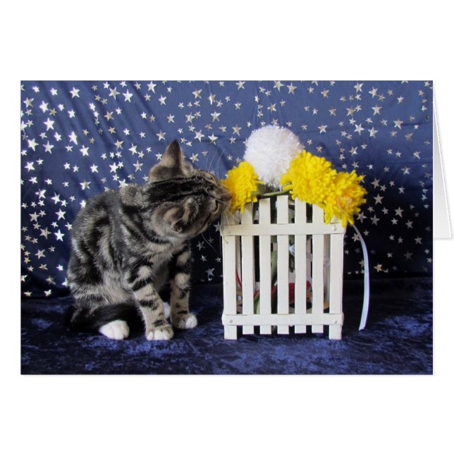 Arrêtez et sentez les fleurs (Lilo) (Devant horizontal)