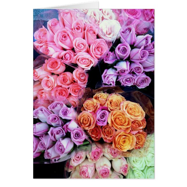 Arrêtez et sentez les roses (Devant)