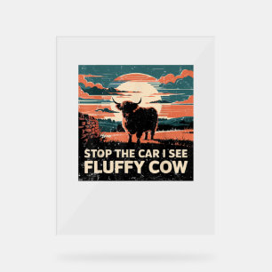 Arrêtez La Voiture Voir Fluffy Cow Highland Cow Fa