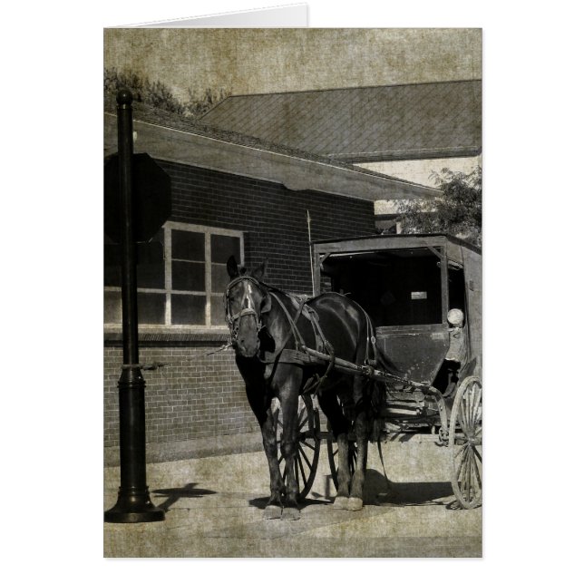 Arrêtez pour un sort, Cheval Amish au panneau stop (Devant)